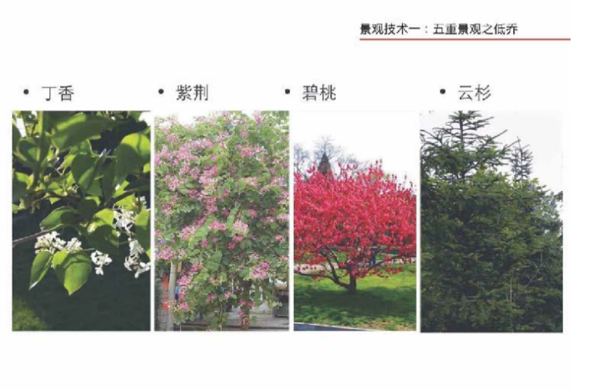 龙湖地产项目景观研究成果分享_第8页