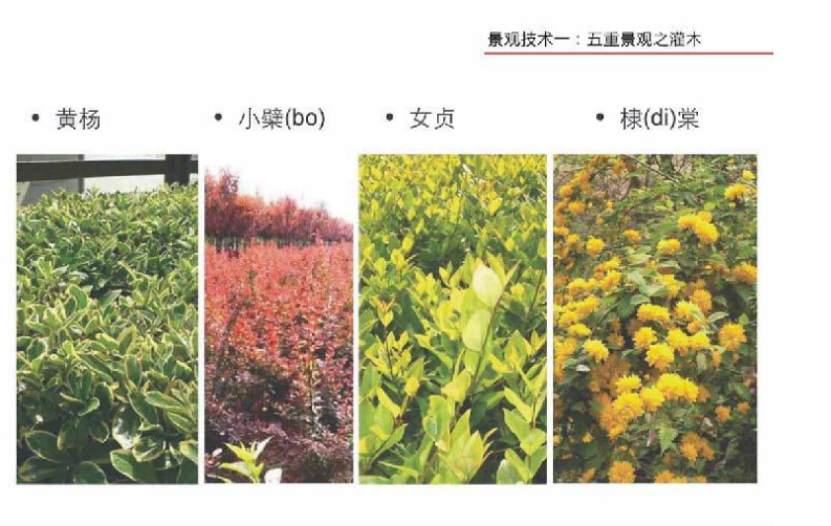 龙湖地产项目景观研究成果分享_第9页