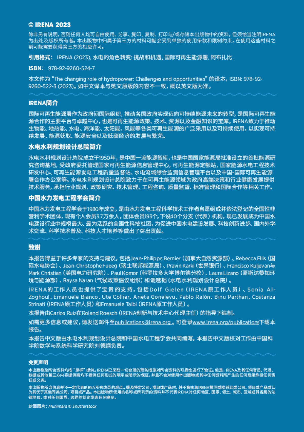 国际可再生能源署：水电的角色转变-挑战和机遇（2023）_第2页