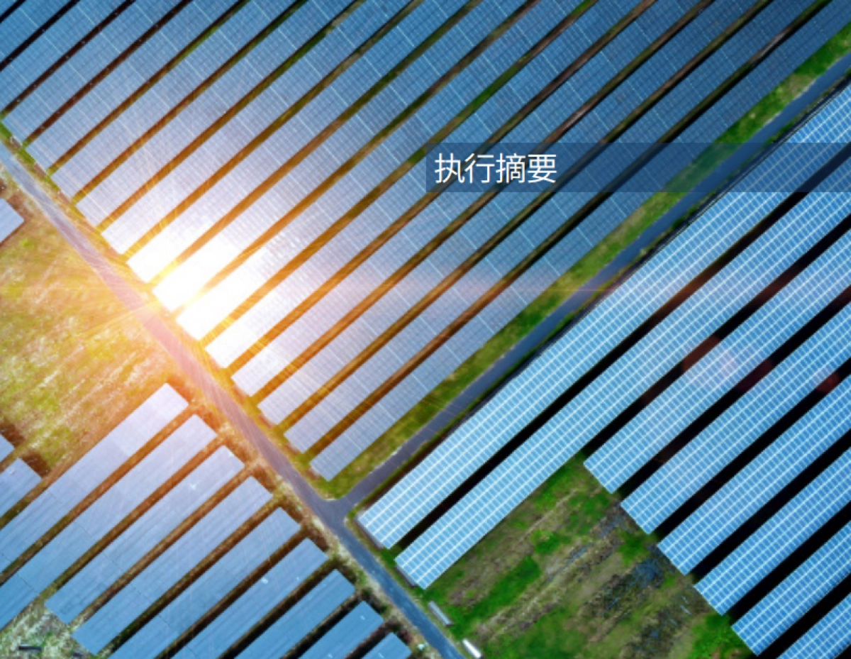 落基山研究所-2019年度报告：企业可再生能源采购在中国的市场现状_第4页