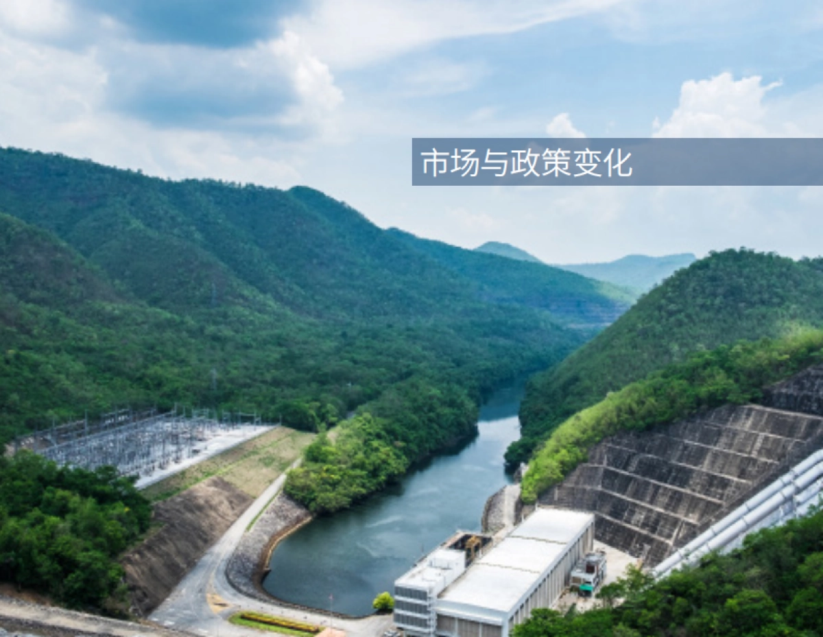 落基山研究所-2019年度报告：企业可再生能源采购在中国的市场现状_第6页