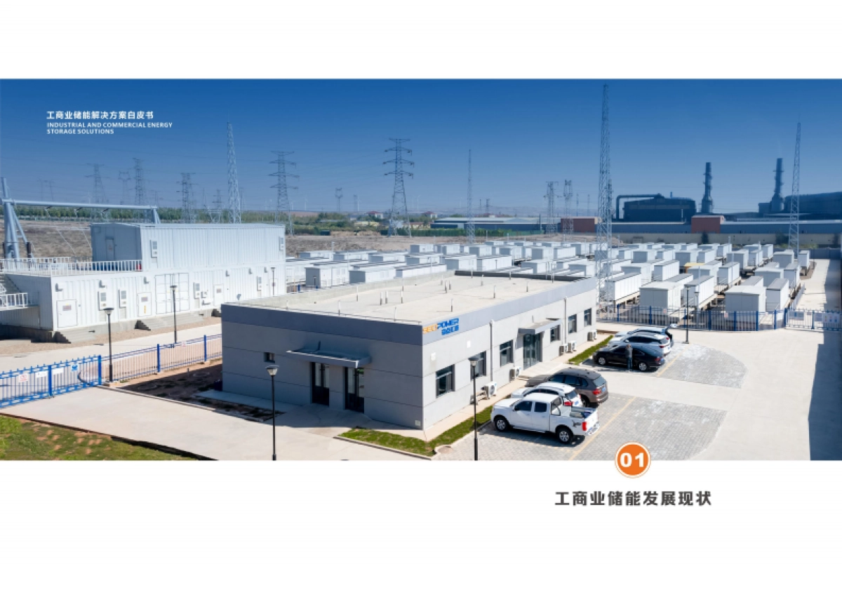 奇点能源：2024工商业储能解决方案白皮书_第5页