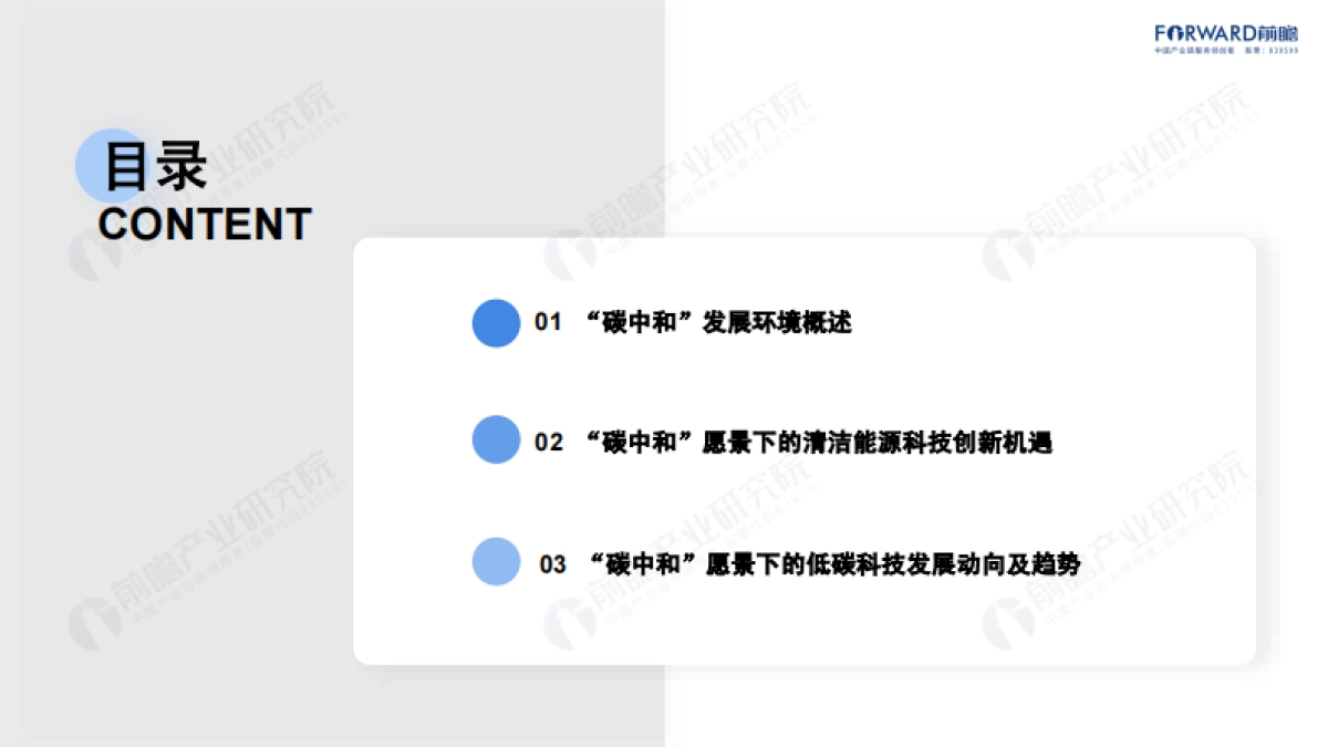 碳中和背景下的清洁能源科技创新机遇-前瞻产业研究院-50页_第2页