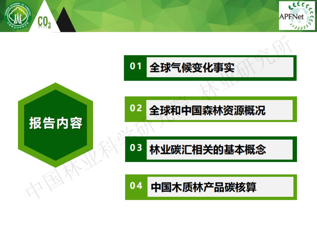 碳中和背景下的森林碳汇基本知识-白彦锋_第2页