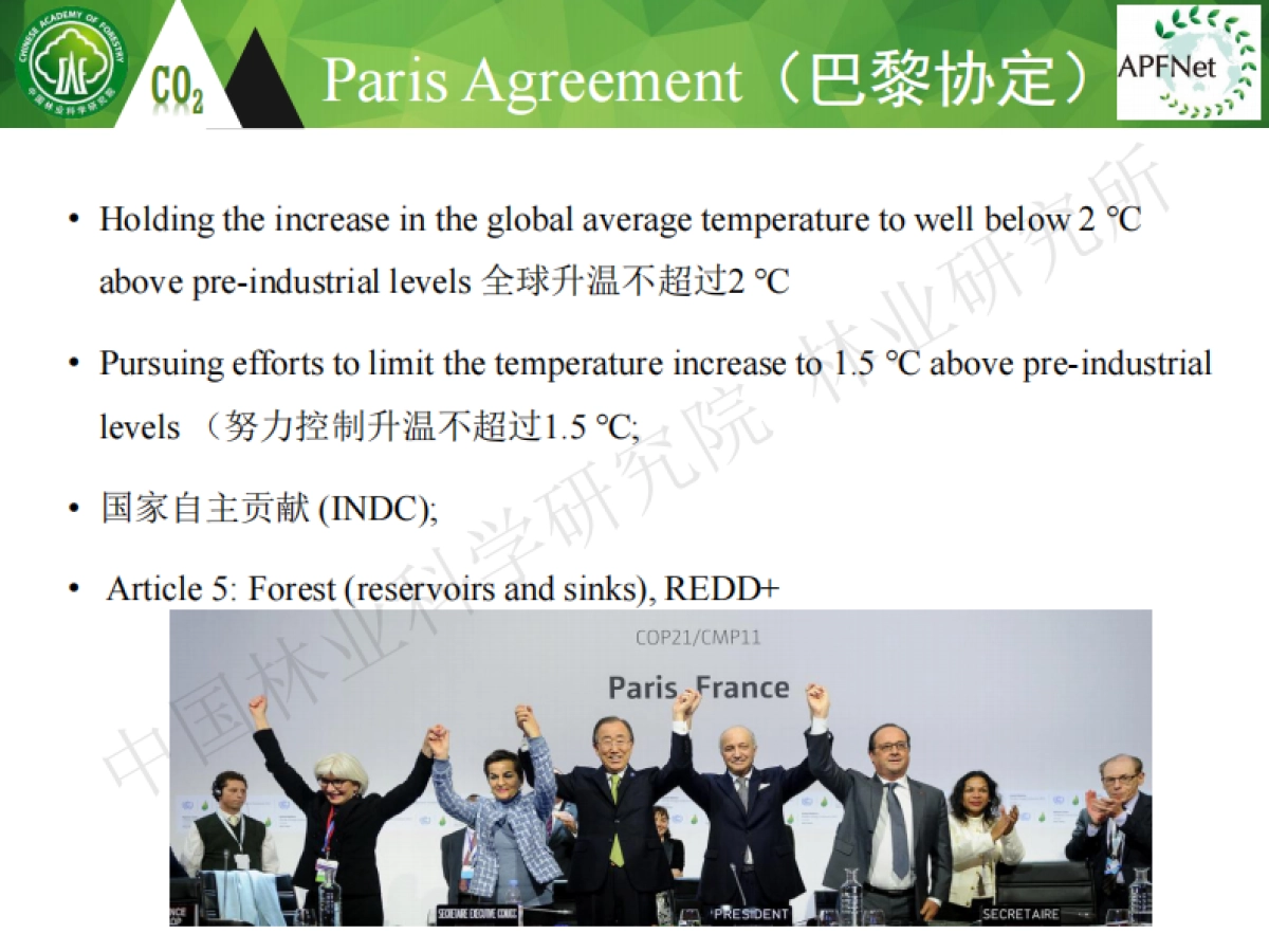 碳中和背景下的森林碳汇基本知识-白彦锋_第9页