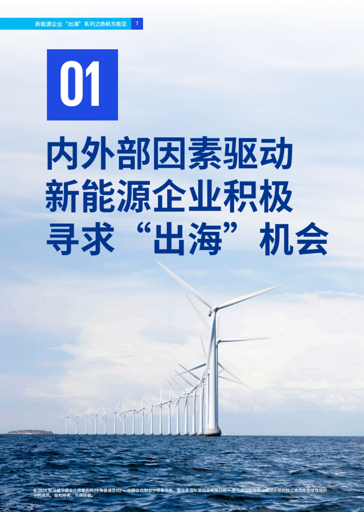 新能源企业“出海”系列之扬帆东南亚_第8页