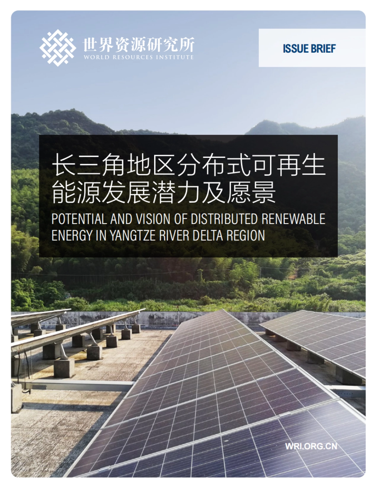 长三角地区分布式可再生能源发展潜力及愿景_第1页