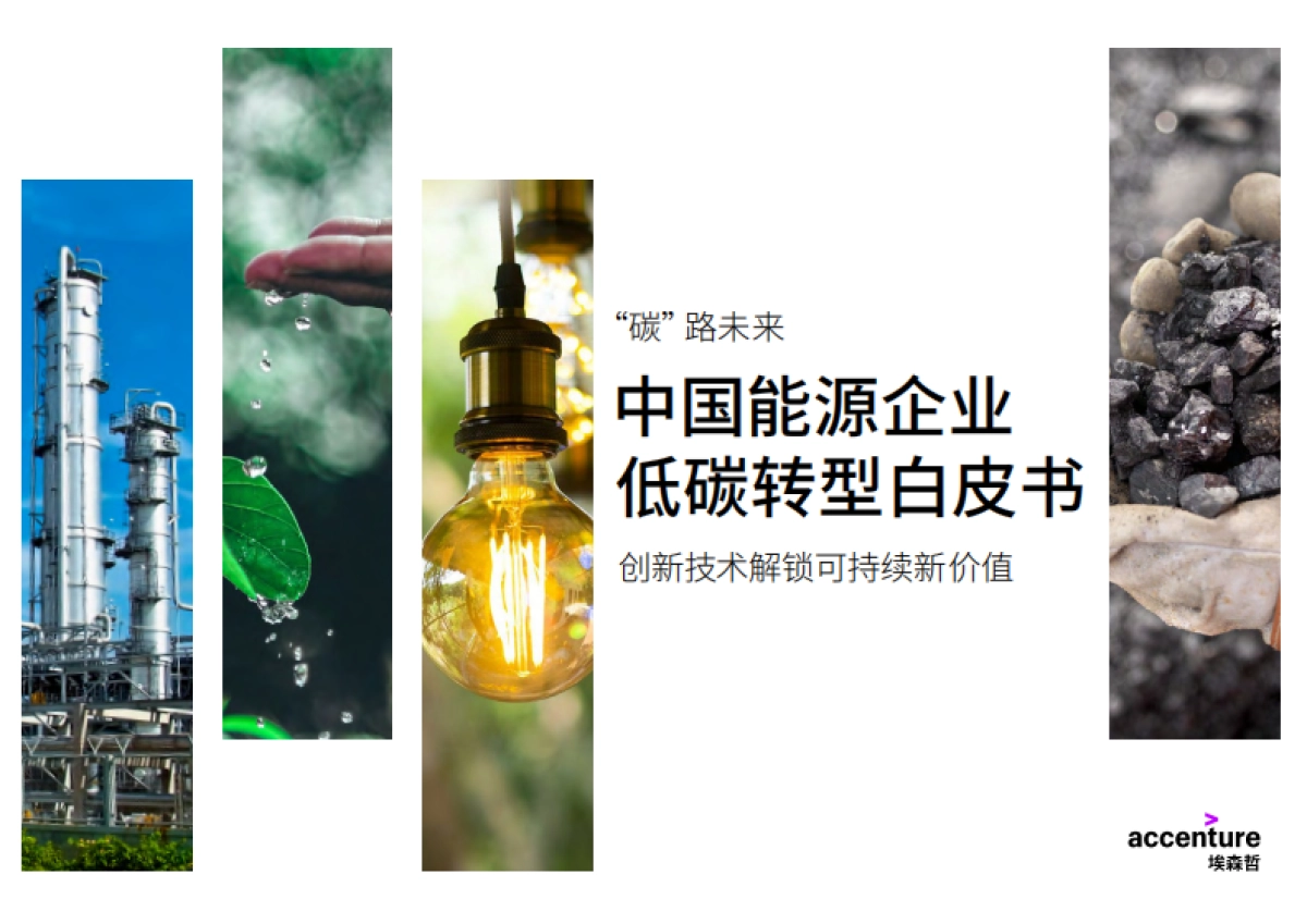 中国能源企业低碳转型白皮书-埃森哲_第1页