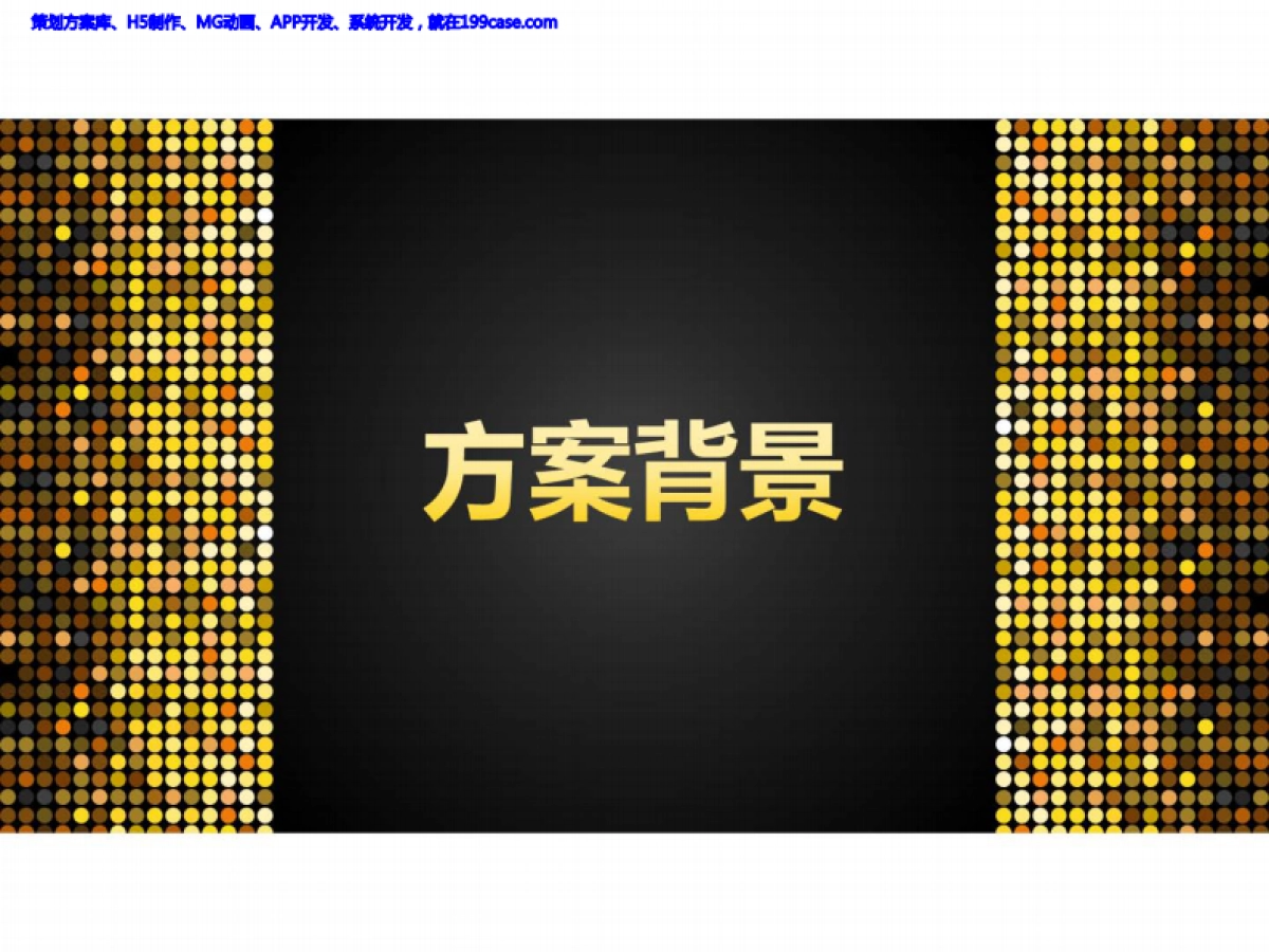 2017财经网红年规划方案-40P_第2页