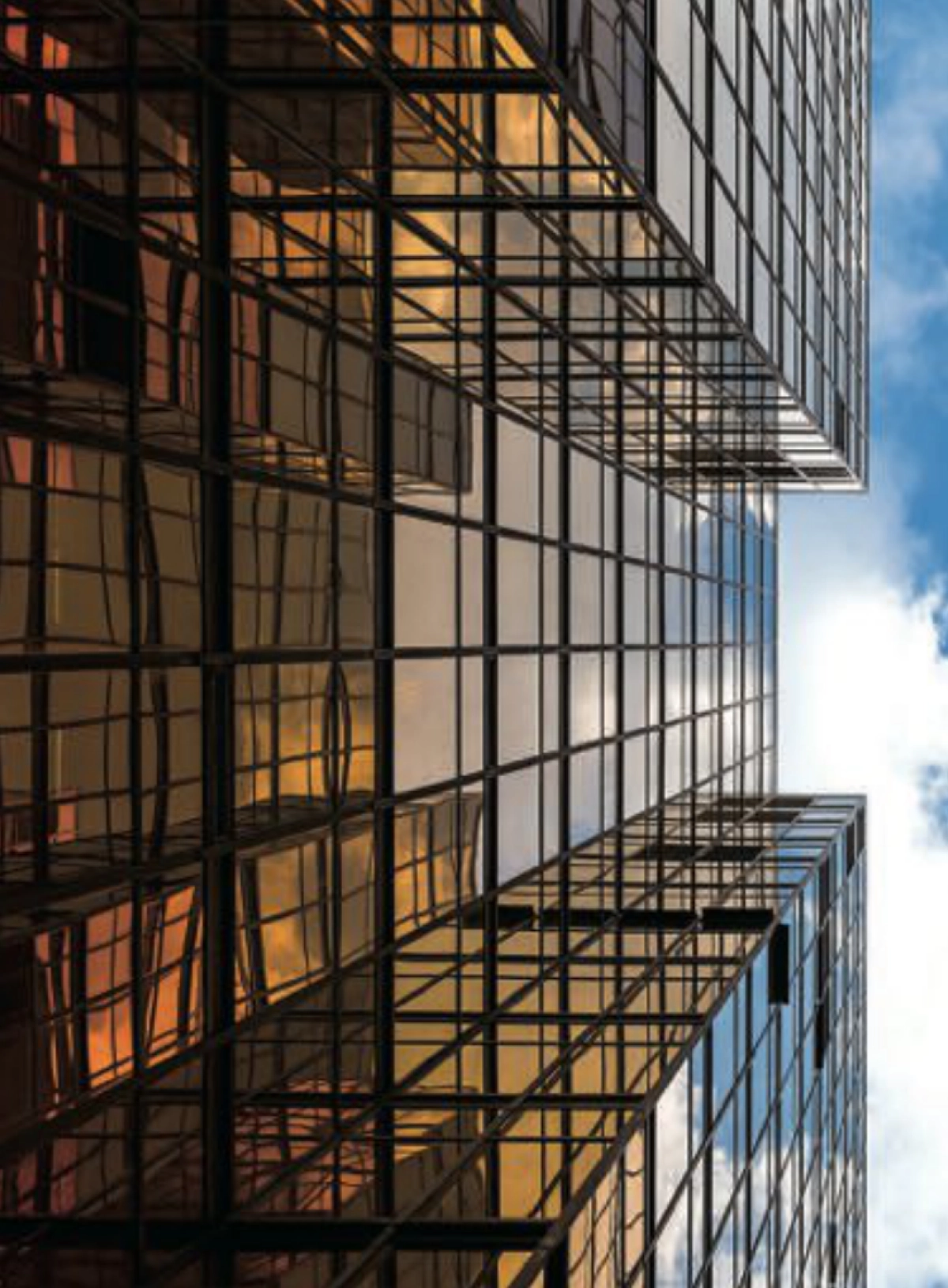 2020中国企业家家族财富管理白皮书_第7页