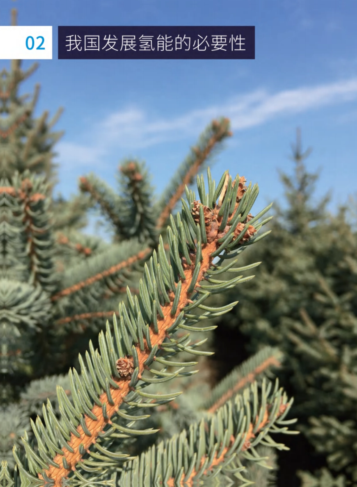 2021零碳中国·氢能蓝皮书-中国投资协会&腾讯研究院_第10页