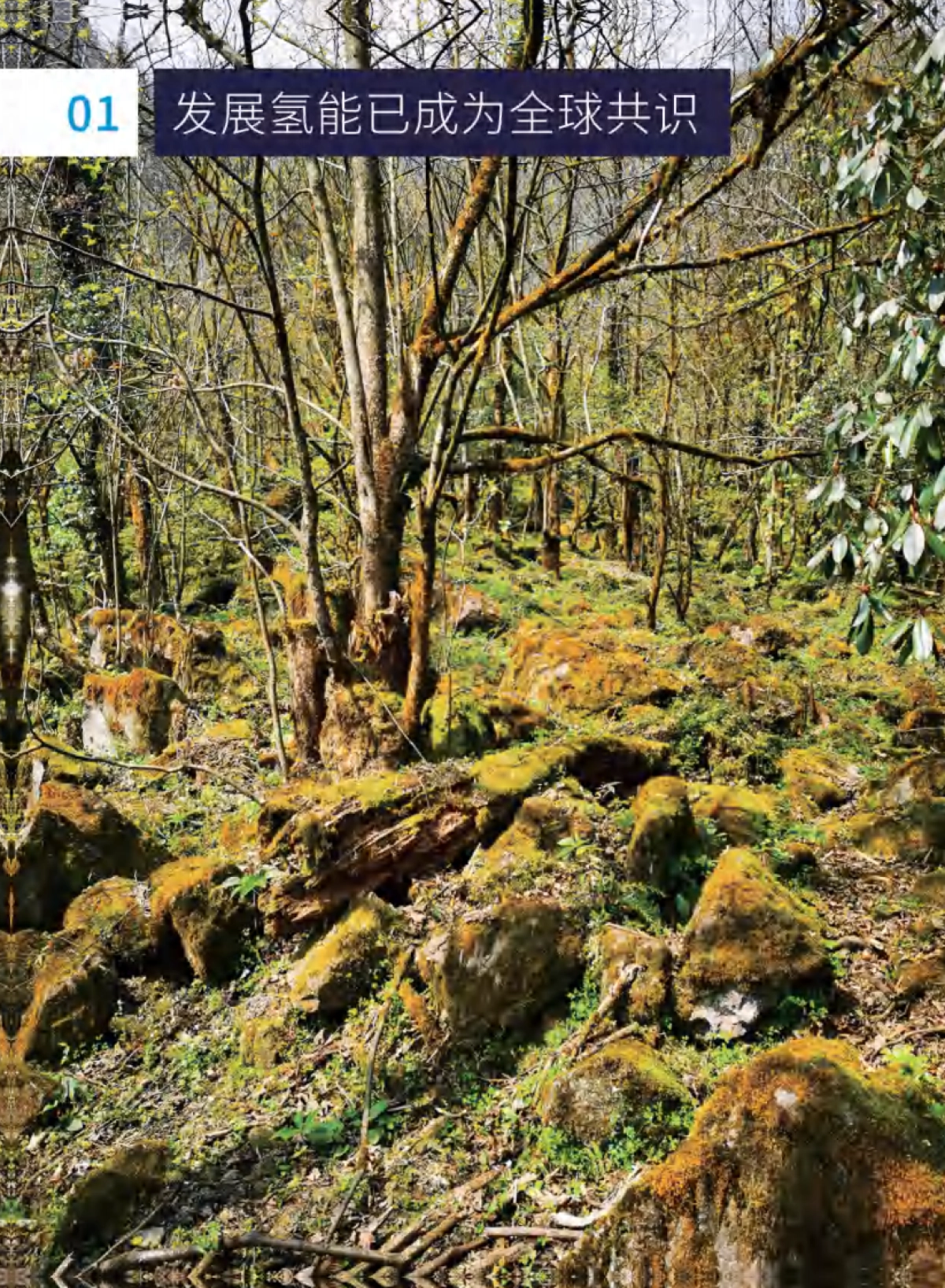 2021零碳中国·氢能蓝皮书-中国投资协会&腾讯研究院_第8页