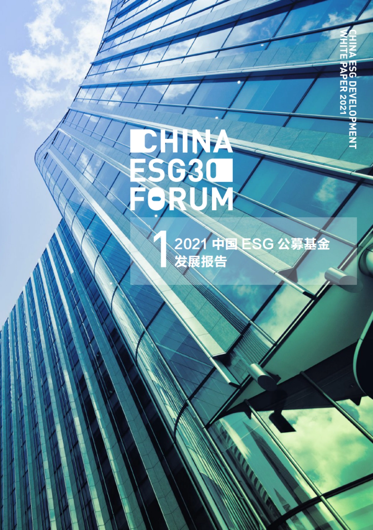 2021中国ESG发展白皮书-财新智库&ESG-62页_第6页