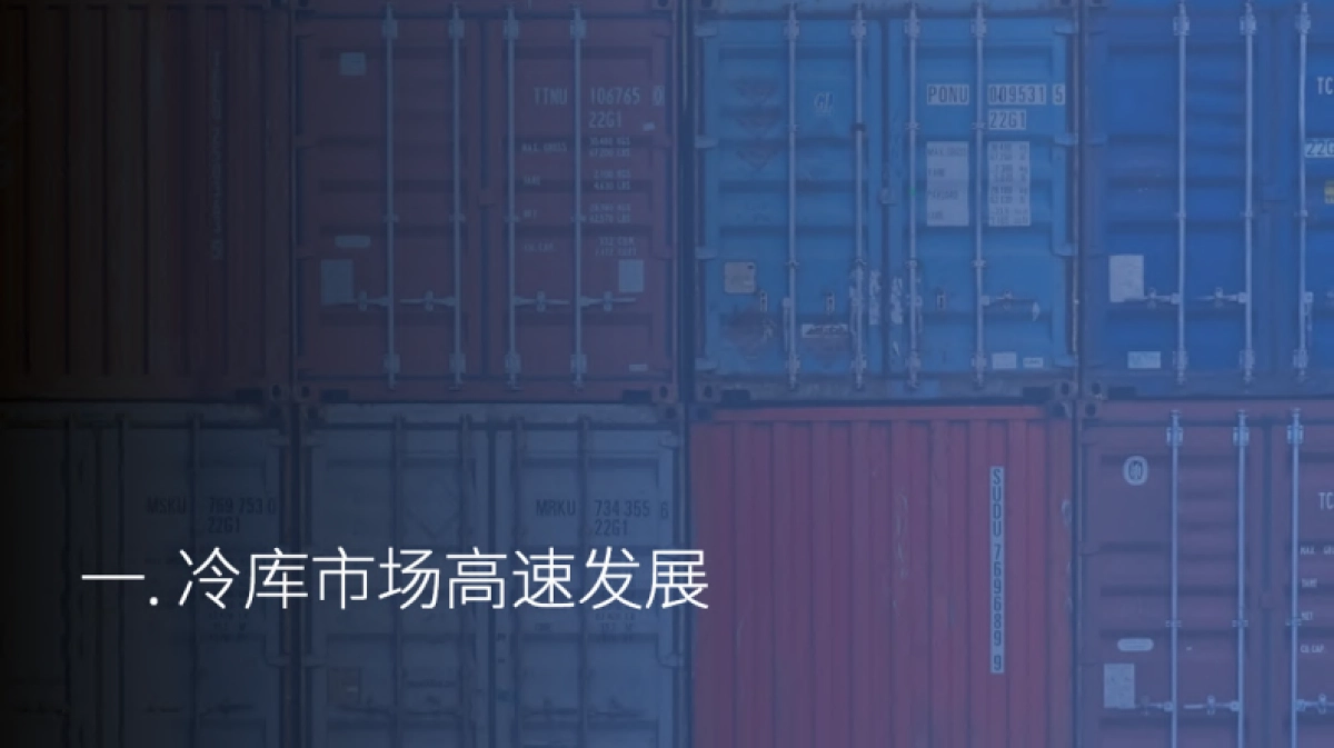 2022中国高标冷库市场投资机会报告_第5页