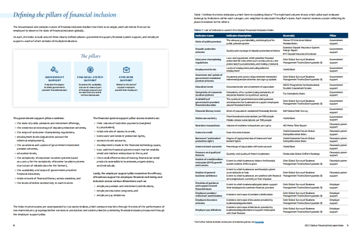 Principal ：2022年全球普惠金融指数报告_第5页