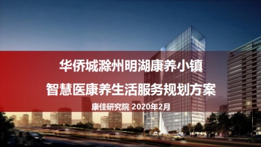 2020滁州明湖智慧医康养生活服务规划方案