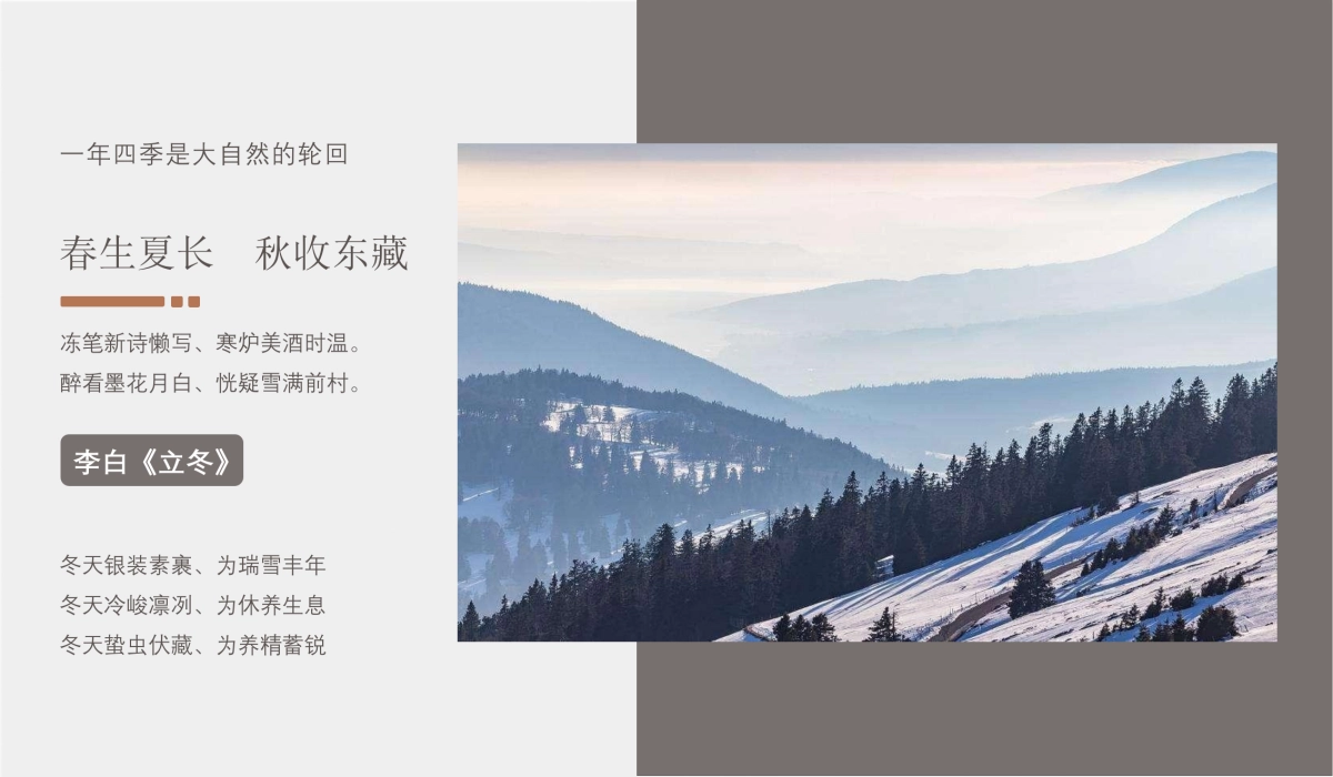 健康养生美食品鉴圈层_第2页