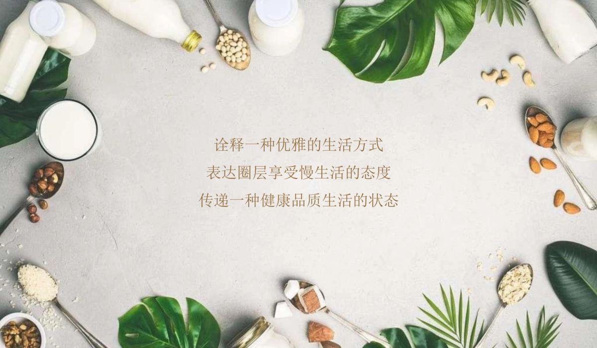 健康养生美食品鉴圈层_第3页