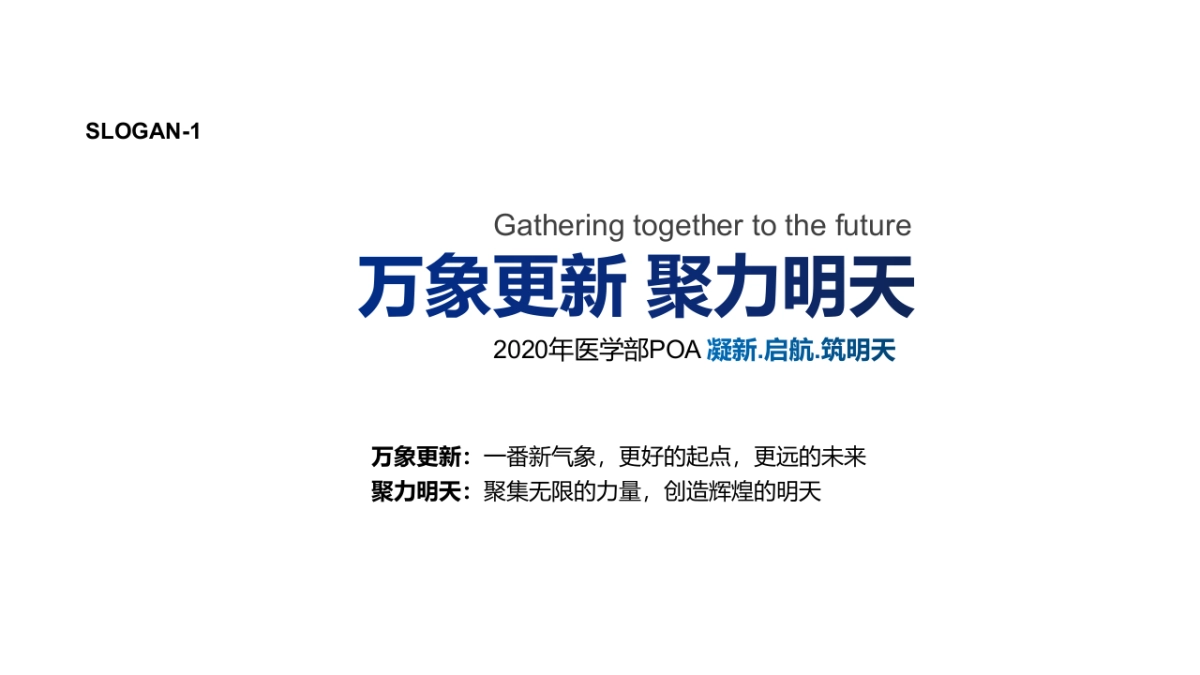 普强医学POA_第8页