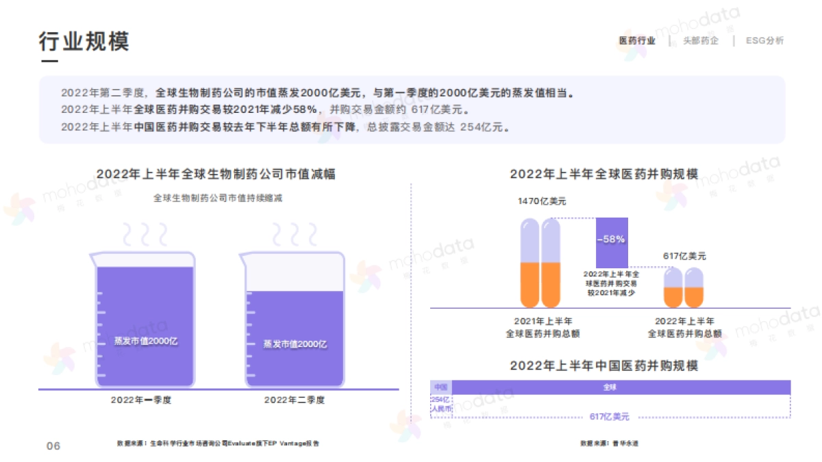 头部医药企业品牌传播表现报告_第6页