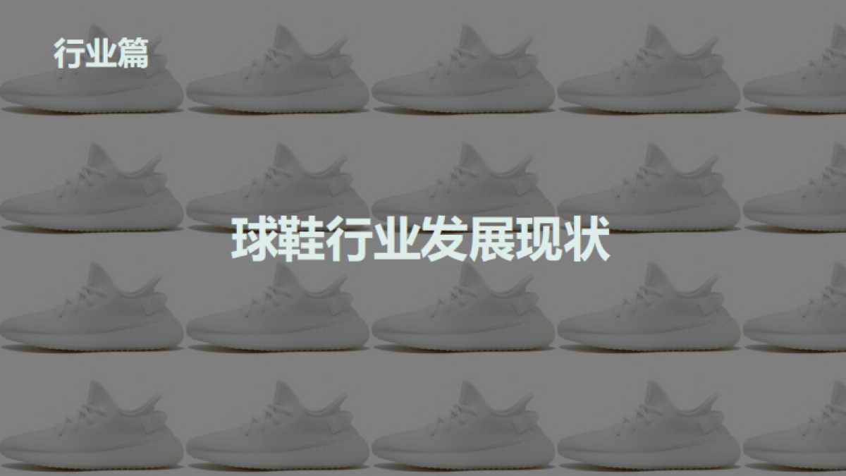 2020球鞋二级市场数据报告-新快报联&艾媒咨询-80页_第5页