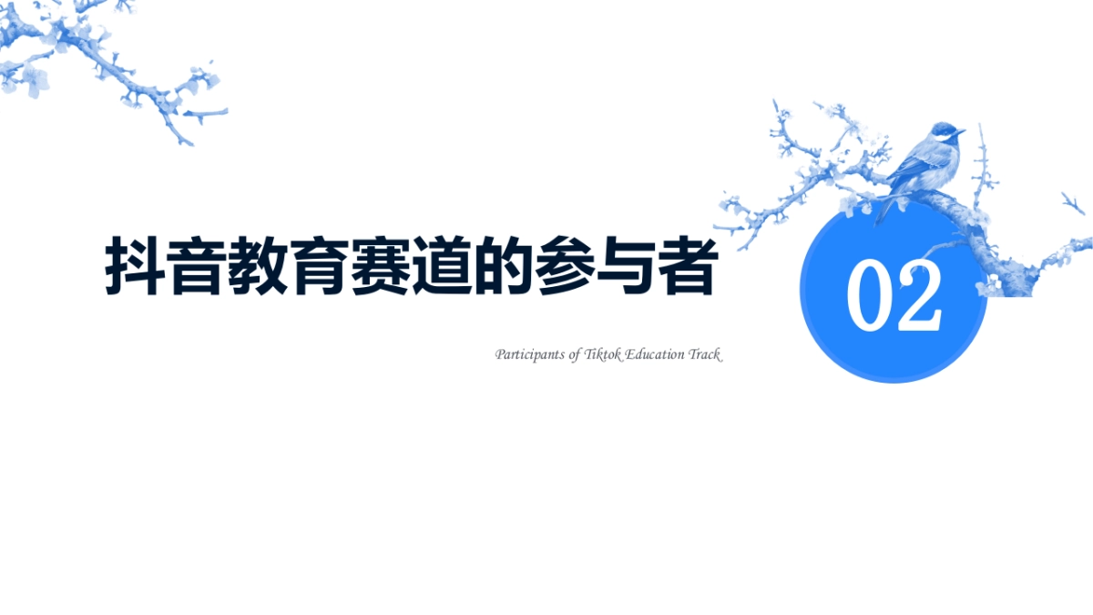 抖音教育赛道的发展现状与趋势分析_第6页