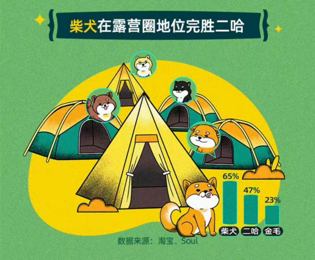 2021 Z世代露营式社交白皮书-淘宝xSoul_第6页