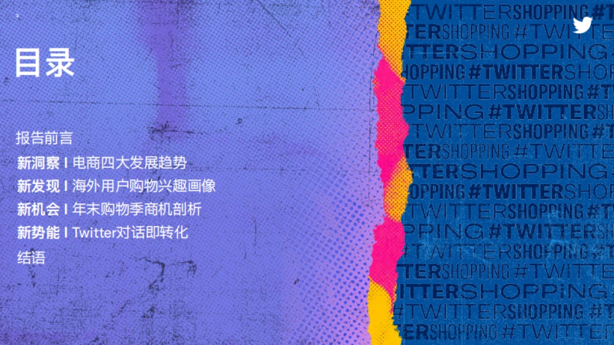 2022年Twitter全球电商洞察报告：新势增长-Twitter_第2页