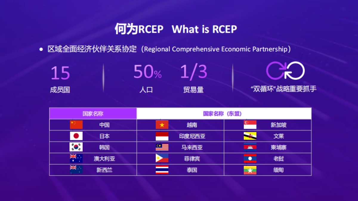 阿里研究院《RCEP区域跨境电商进口（B2C）指数》_第4页