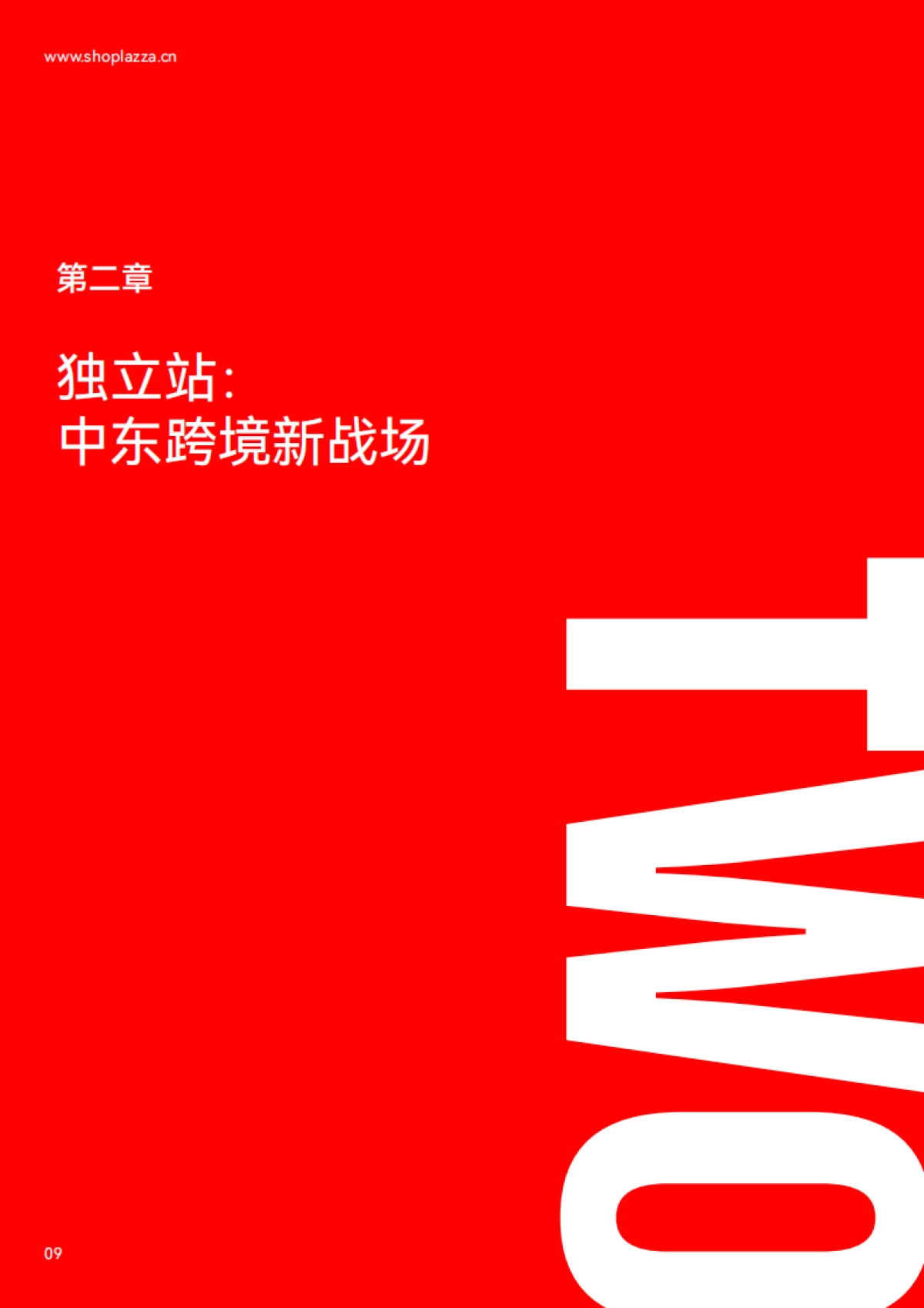 独立站增长新动力：2023中东跨境电商白皮书-店匠科技_第9页