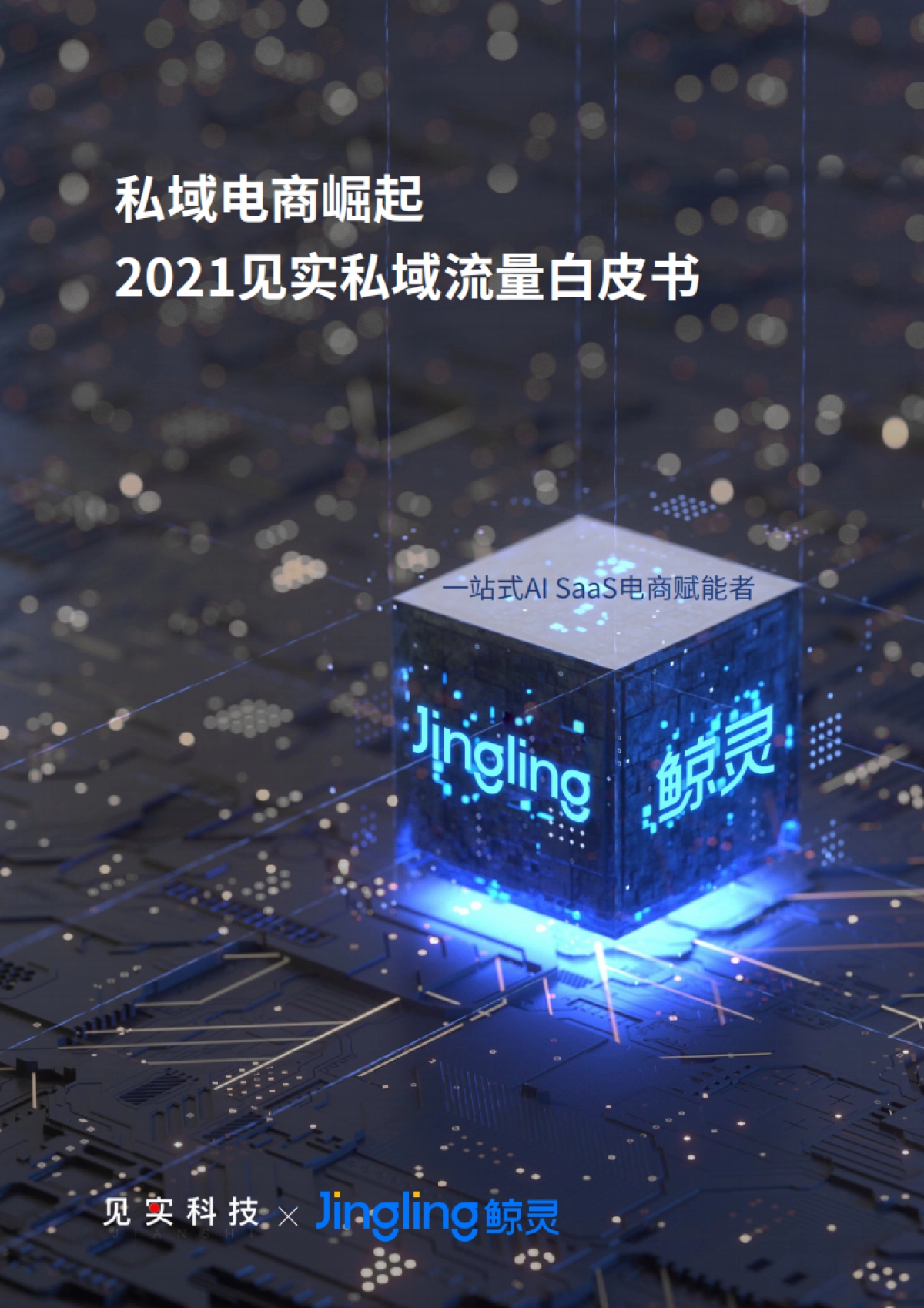 私域电商崛起：2021见实私域流量白皮书（6月版）_第1页