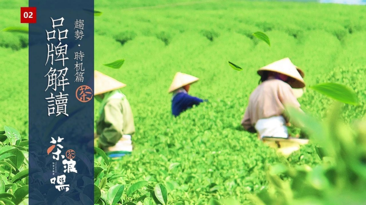 茶郎嘿项目可行性分析报告_第9页