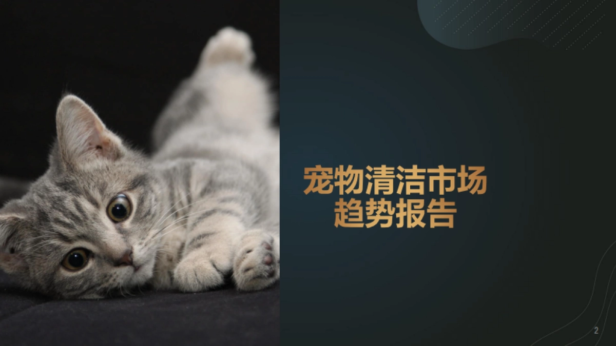 宠物清洁市场趋势报告-13页_第2页