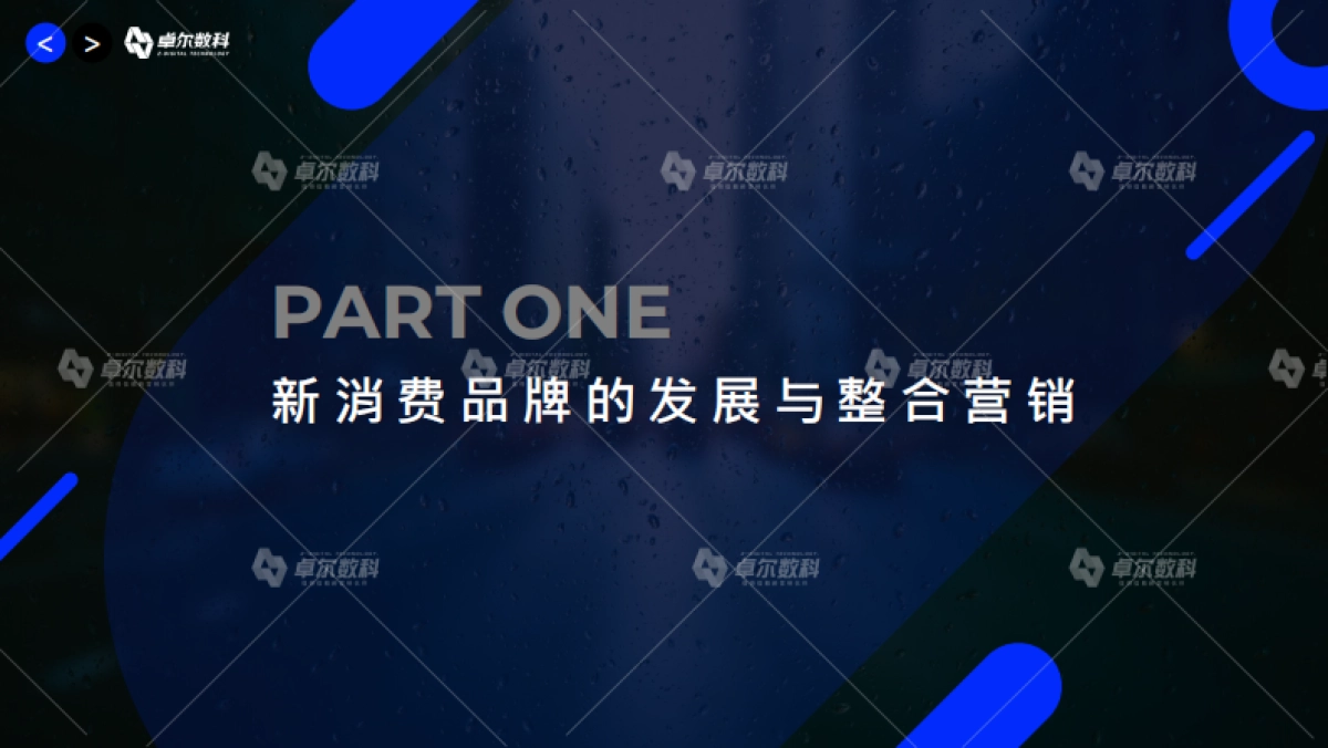 【官方版】新消费品牌整合营销白皮书-卓尔数科-56页_第4页