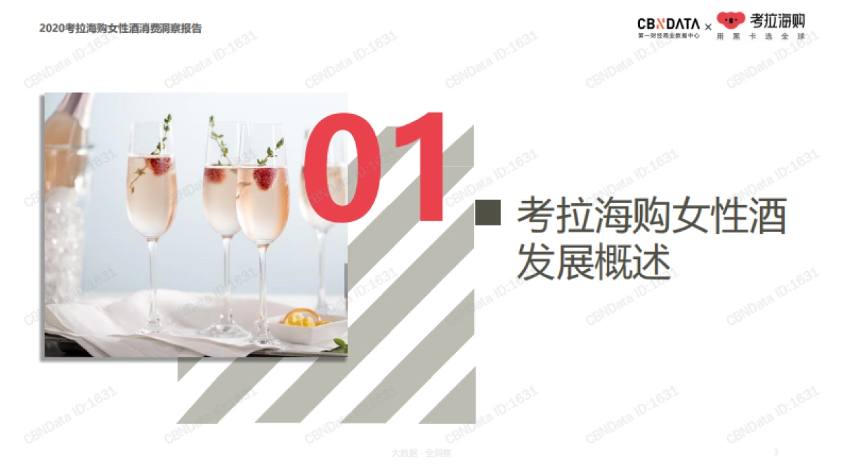 2020女性酒消费洞察报告-CBNData&考拉海购-29页_第3页