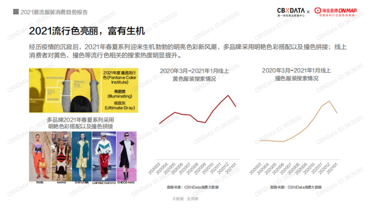 2021潮流服装消费趋势报告-CBNData&淘宝直播-25页_第4页