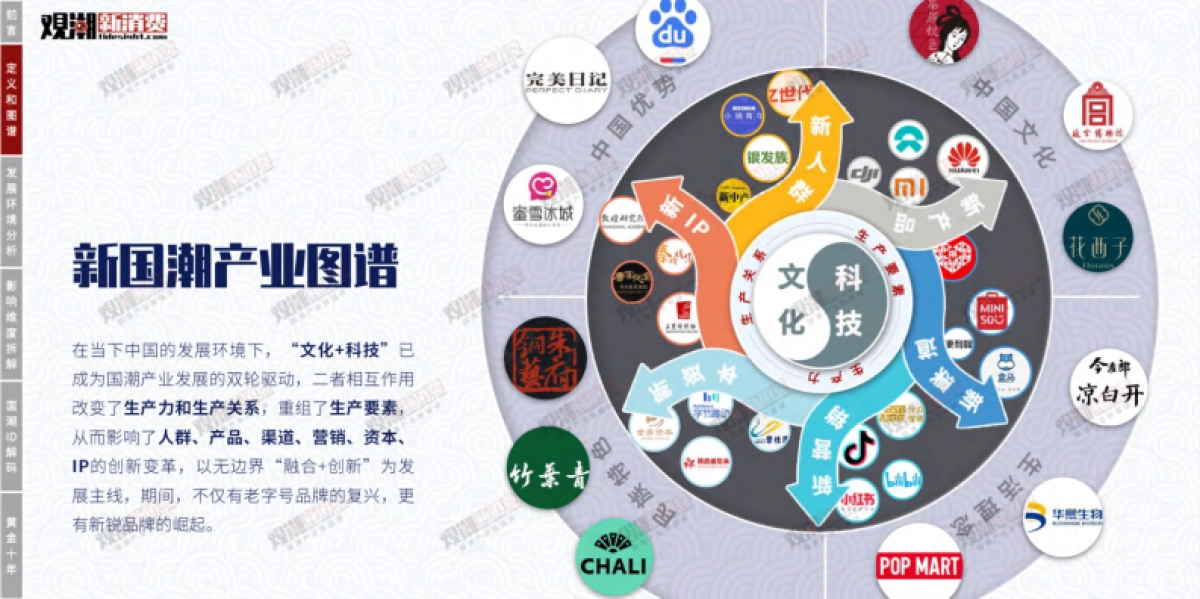 2021国潮新消费产业洞察报告-观潮研究院_第6页