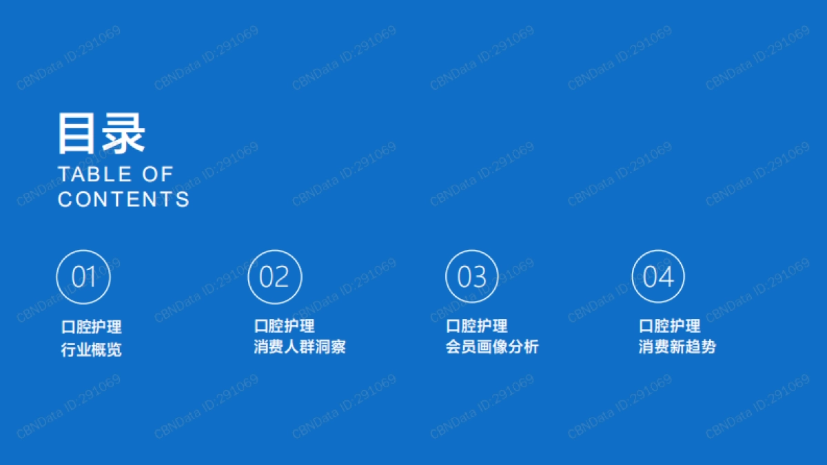 2021天猫口腔护理消费趋势洞察白皮书-CBNData&天猫-38页_第2页