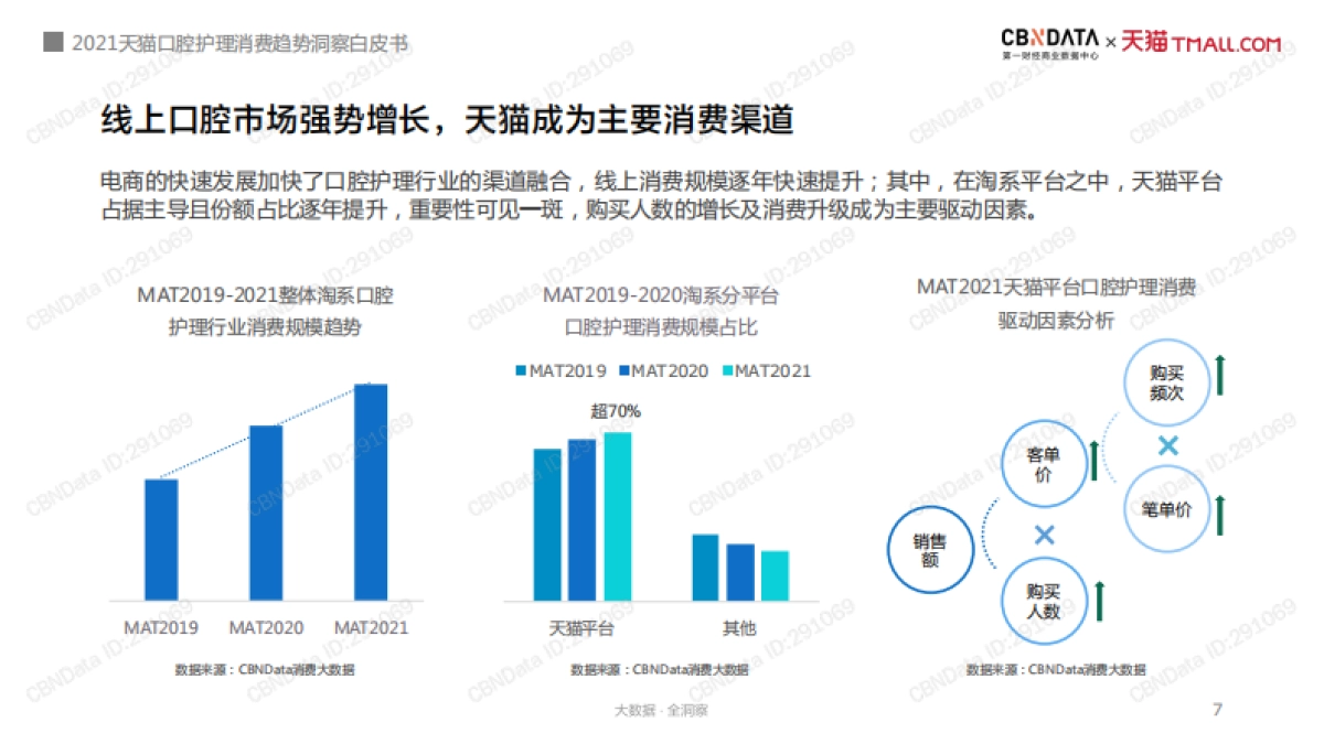 2021天猫口腔护理消费趋势洞察白皮书-CBNData&天猫-38页_第7页