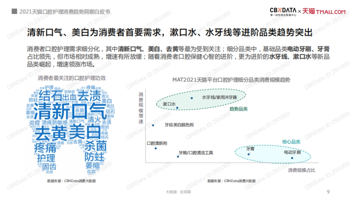 2021天猫口腔护理消费趋势洞察白皮书-CBNData&天猫-38页_第9页