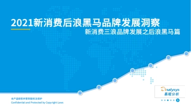 2021新消费后浪黑马品牌发展洞察-易观
