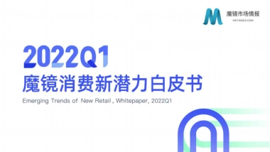 2022Q1魔镜新消费白皮书-魔镜市场情报