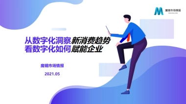 从数字化洞察新消费趋势看数字化如何赋能企业-魔镜市场