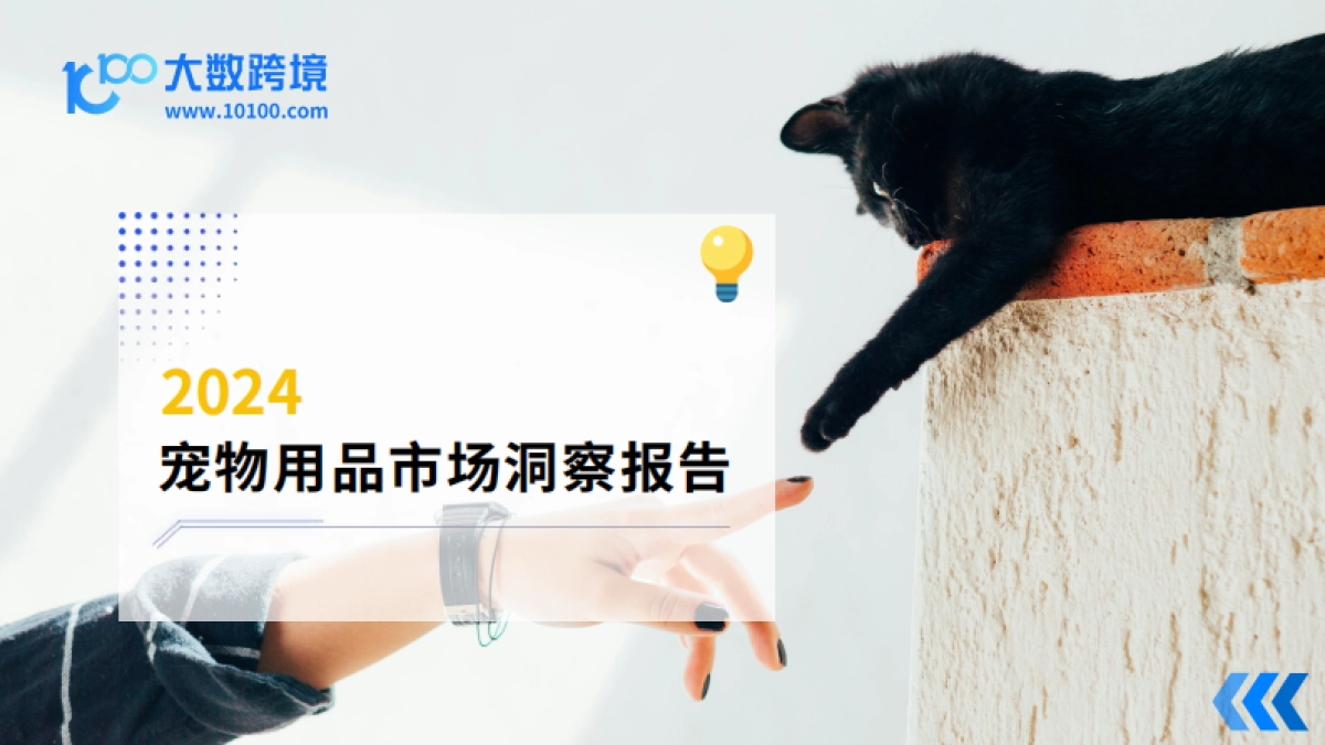 大数跨境：2024宠物用品市场洞察报告_第1页
