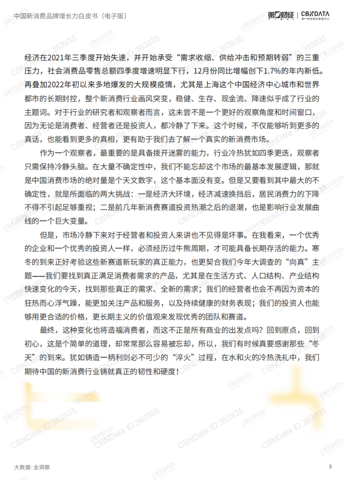 第一财经&CBNData-2022中国新消费品牌增长力白皮书_第8页