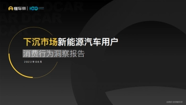 懂车帝：下沉市场新能源汽车用户消费行为洞察报告