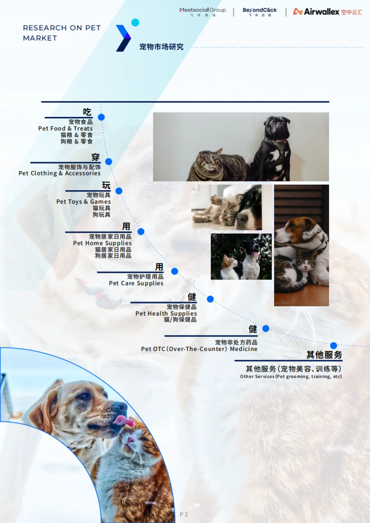 飞书深诺：2022全球宠物市场白皮书_第6页