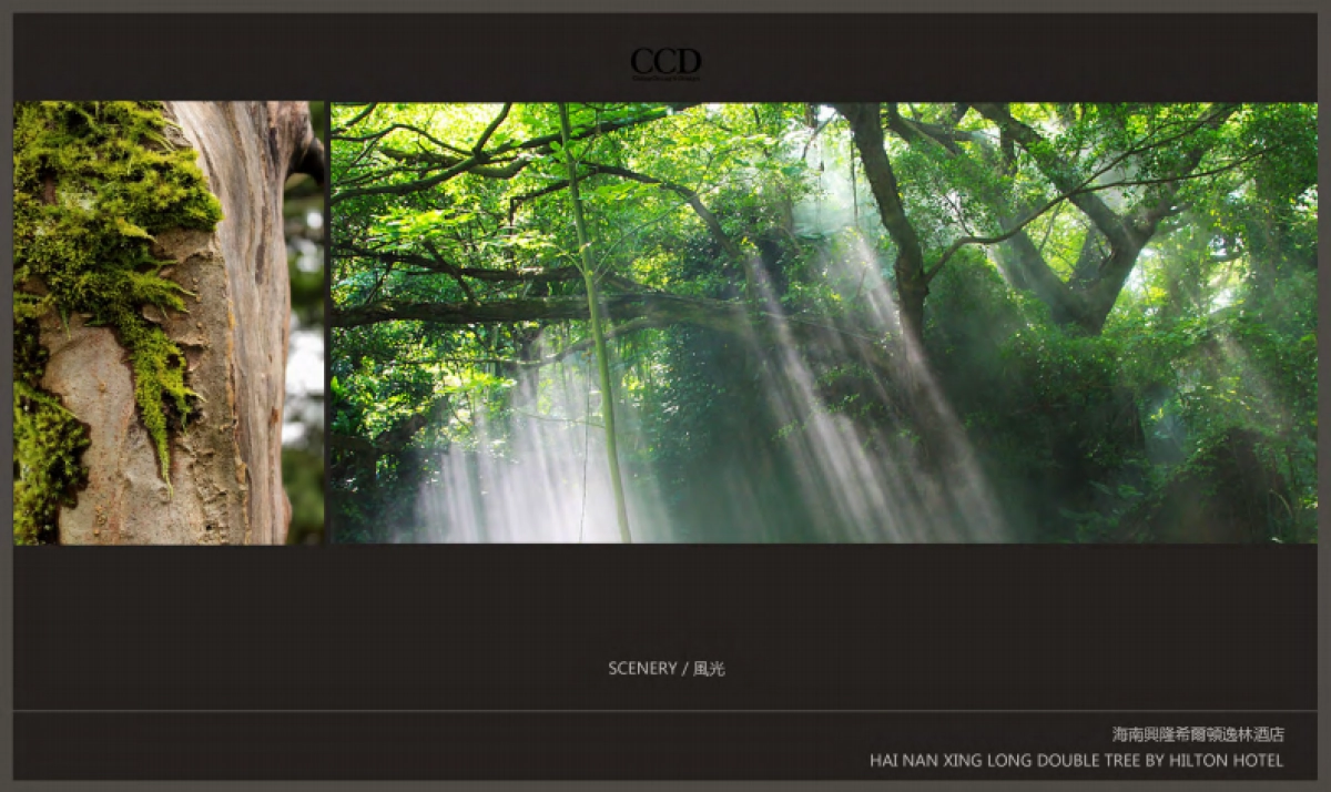 海南兴隆逸林希尔顿滨湖度假酒店方案_第5页