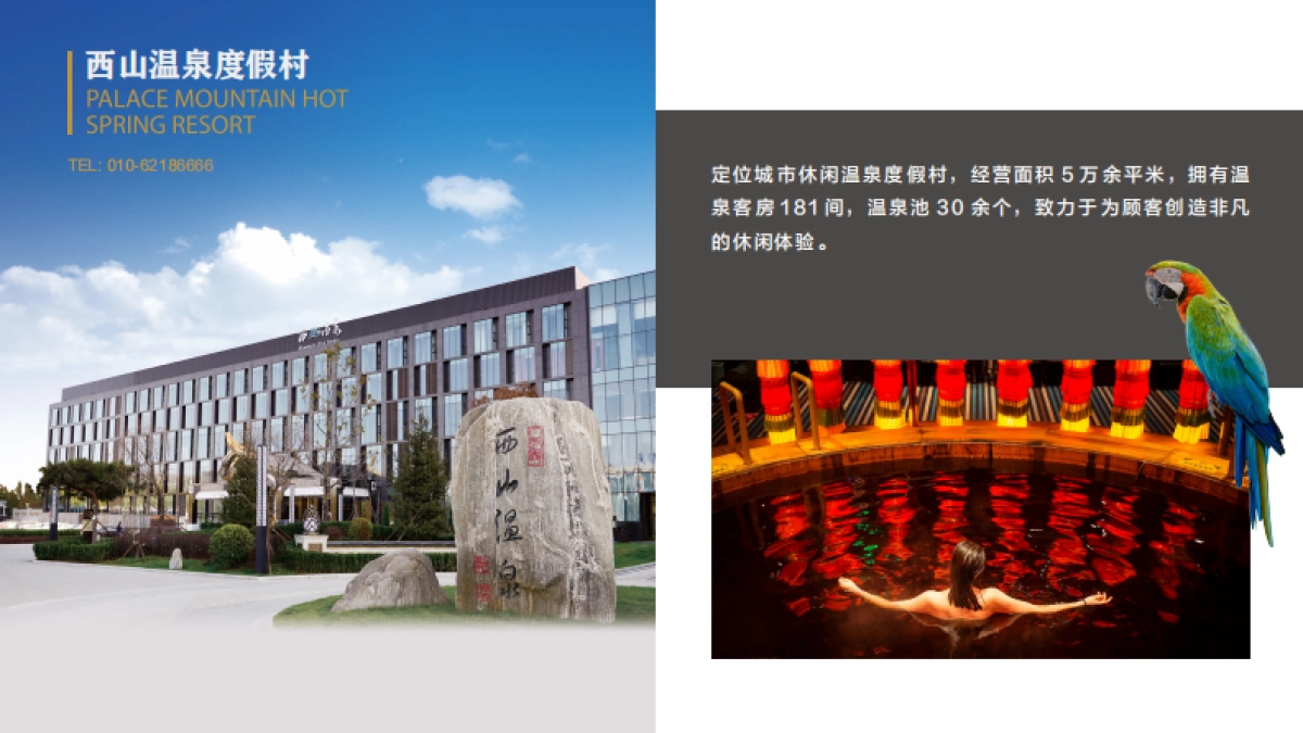 宏昆集团介绍（酒店）_第10页