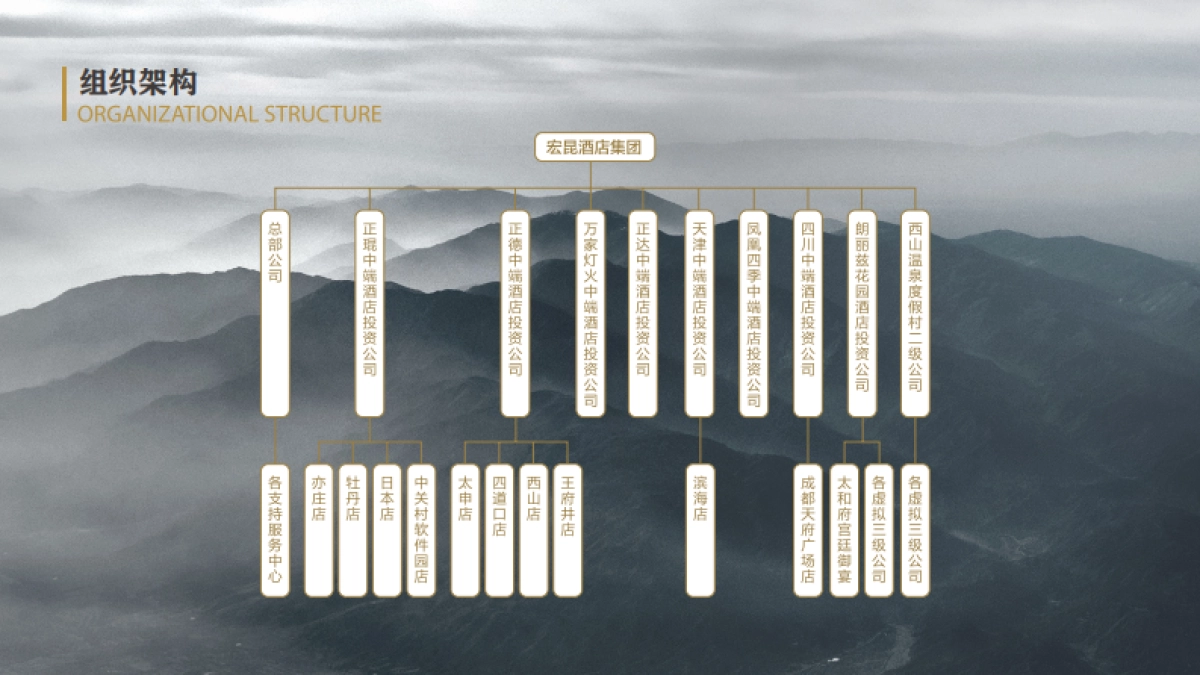 宏昆集团介绍（酒店）_第6页